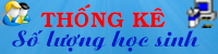 BCTK số lượng HS